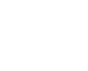 dijital bilet logo